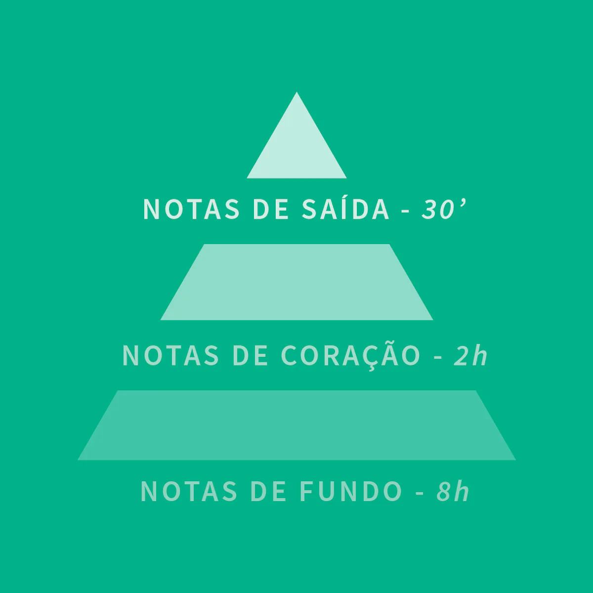 Miniatura 12